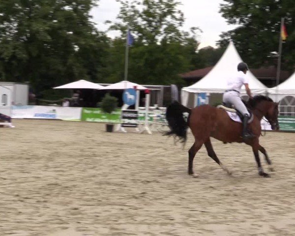Reitturnier Münster-Albachten 2024
