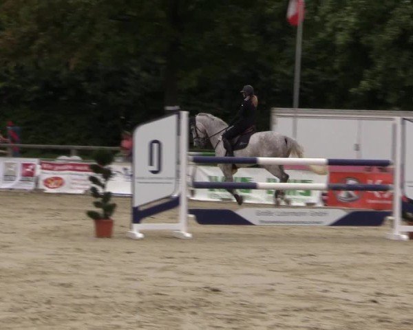 Reitturnier Münster-Albachten 2024