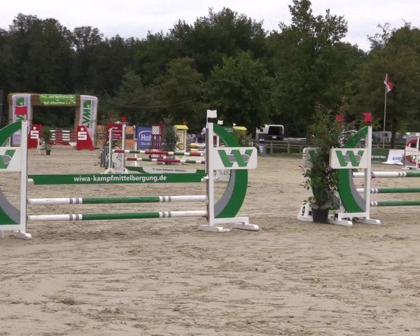 Reitturnier Münster-Albachten 2024