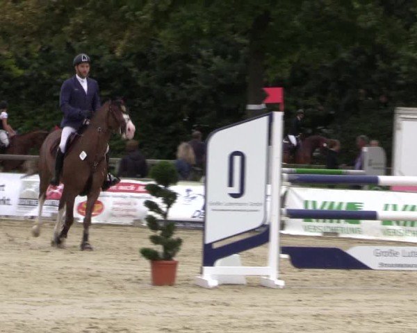 Reitturnier Münster-Albachten 2024