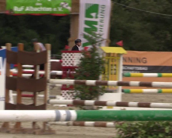 Reitturnier Münster-Albachten 2024