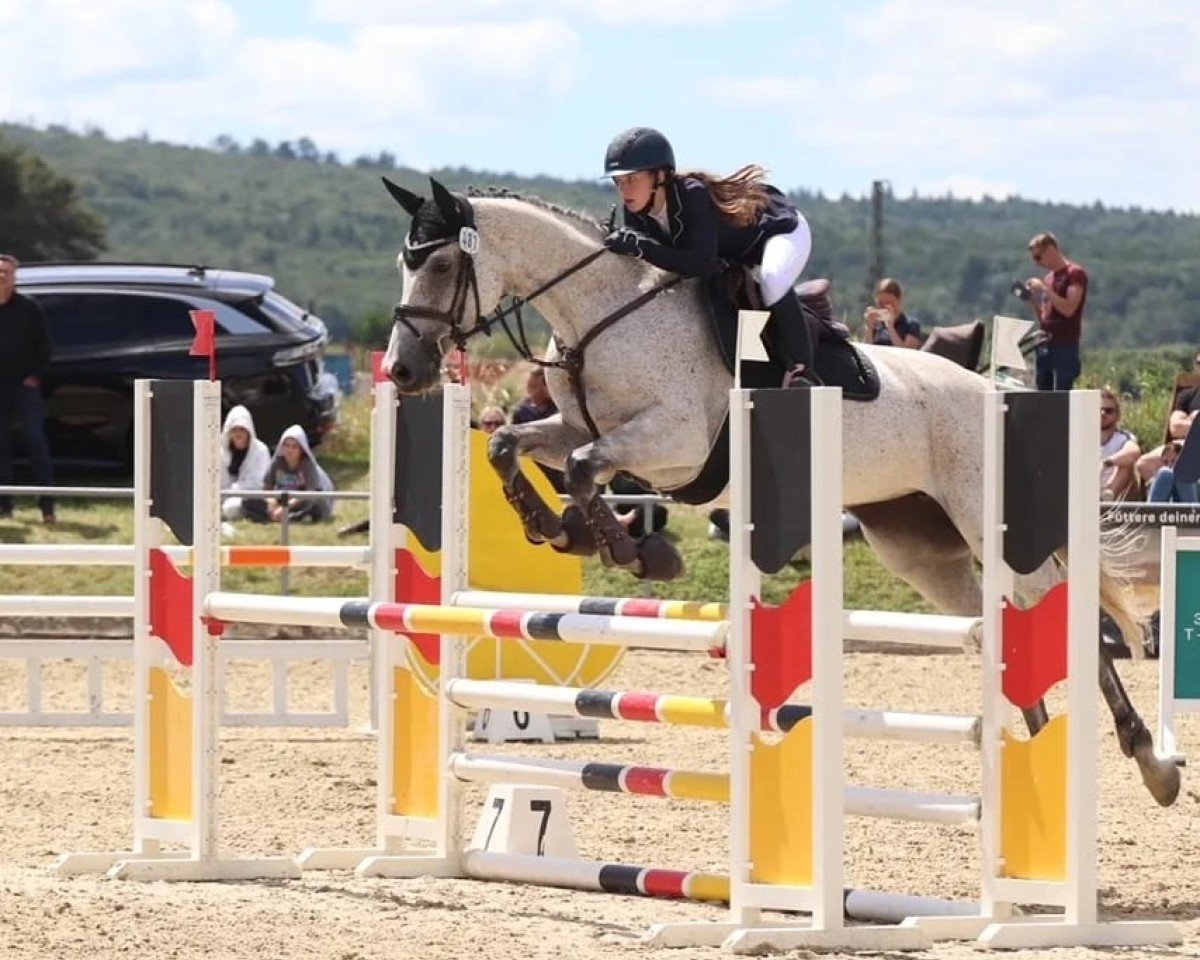 jumper Queen Bella Cortina (German Sport Horse, 2017, from Quick Star IV CH)