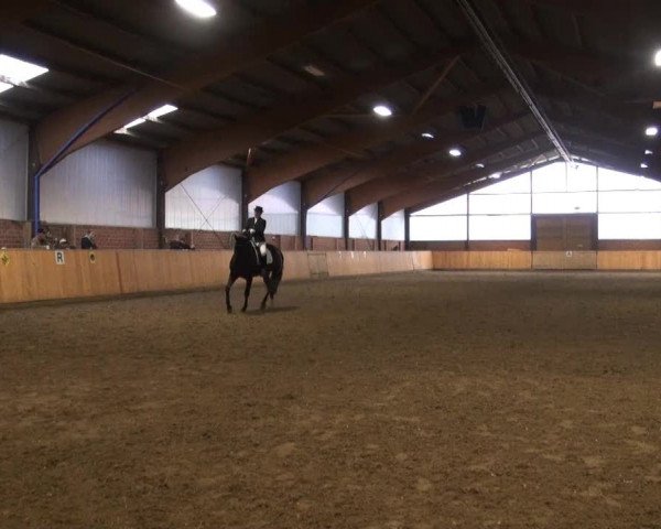 Reitturnier Iserlohn-Kalthof 2013