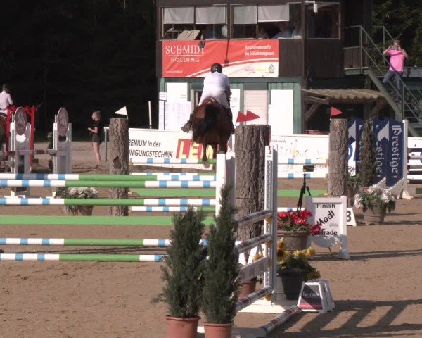 Reitturnier Ranshofen - Braunau am Inn 2024