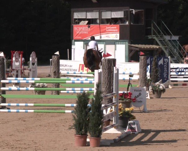 Reitturnier Ranshofen - Braunau am Inn 2024