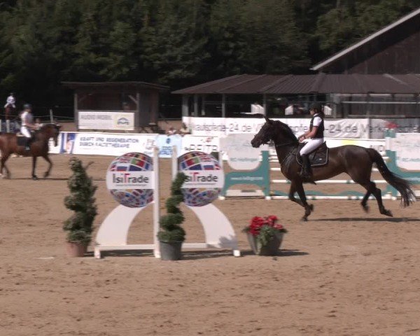 Reitturnier Ranshofen - Braunau am Inn 2024