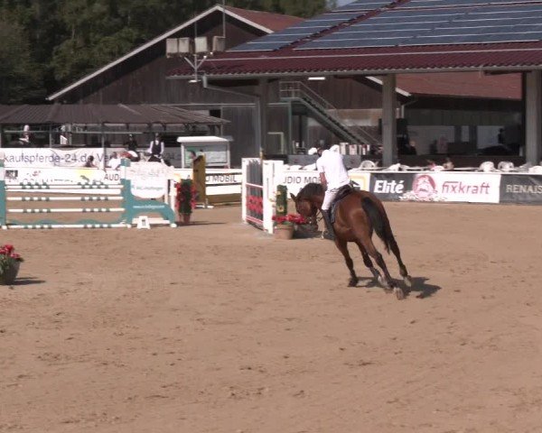 Reitturnier Ranshofen - Braunau am Inn 2024
