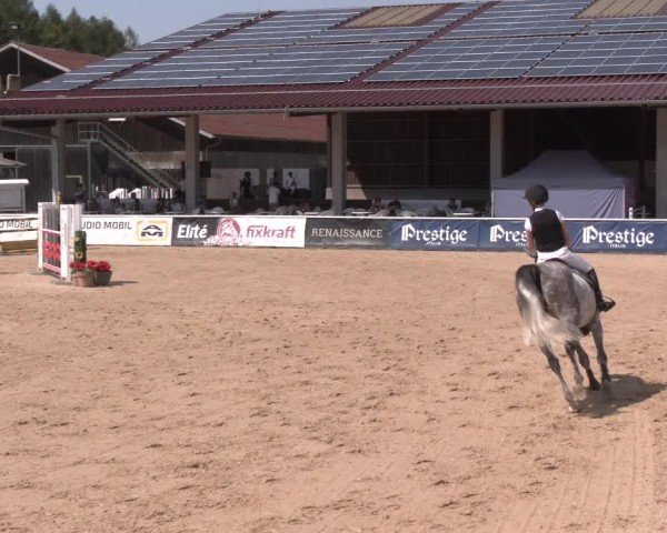 Reitturnier Ranshofen - Braunau am Inn 2024