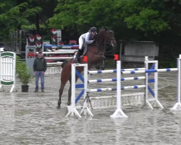 Iserlohn-Kalthof 2013