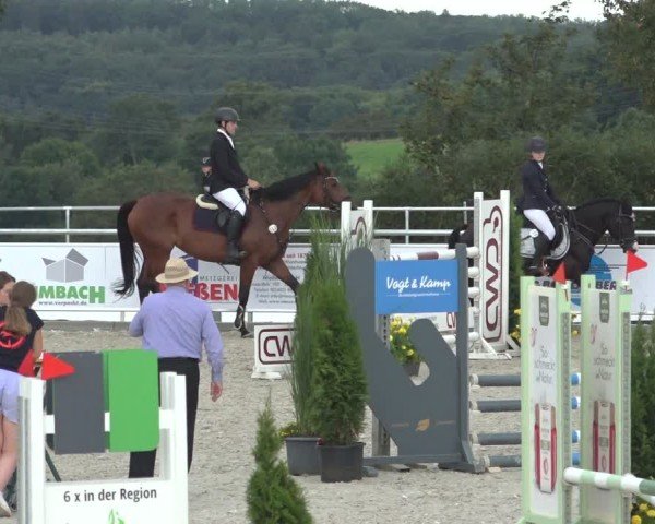 Reitturnier Stolberg-Büsbach 2024