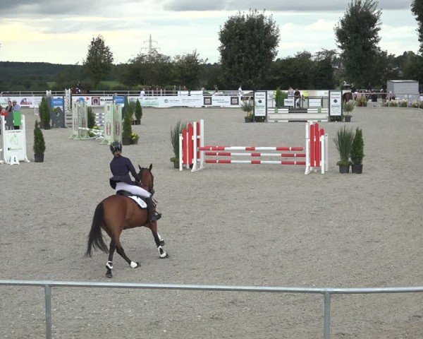 Reitturnier Stolberg-Büsbach 2024