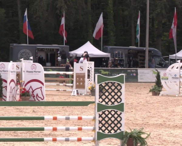 Reitturnier Ranshofen - Braunau am Inn 2024