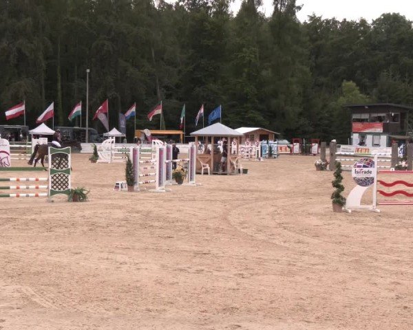 Reitturnier Ranshofen - Braunau am Inn 2024