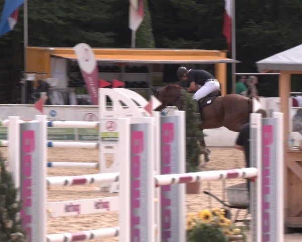 Reitturnier Ranshofen - Braunau am Inn 2024
