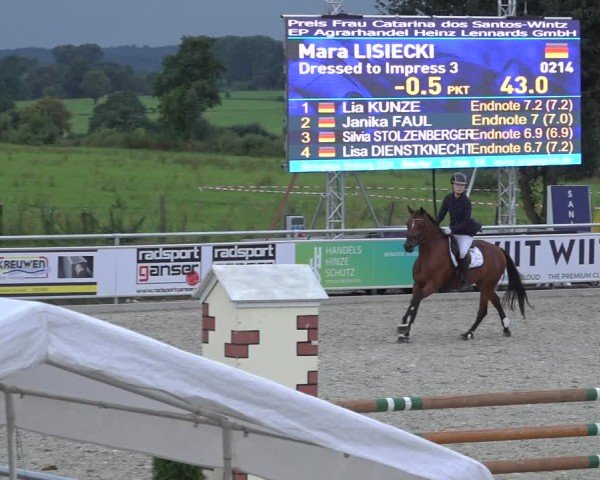 Reitturnier Stolberg-Büsbach 2024