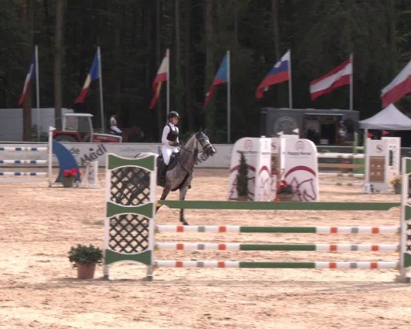 Reitturnier Ranshofen - Braunau am Inn 2024