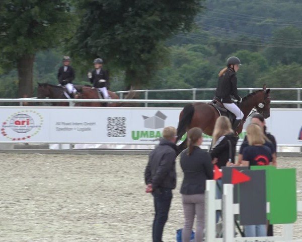 Reitturnier Stolberg-Büsbach 2024