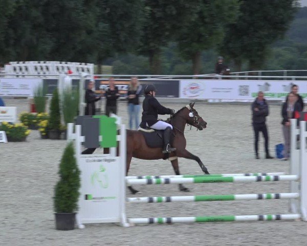 Reitturnier Stolberg-Büsbach 2024