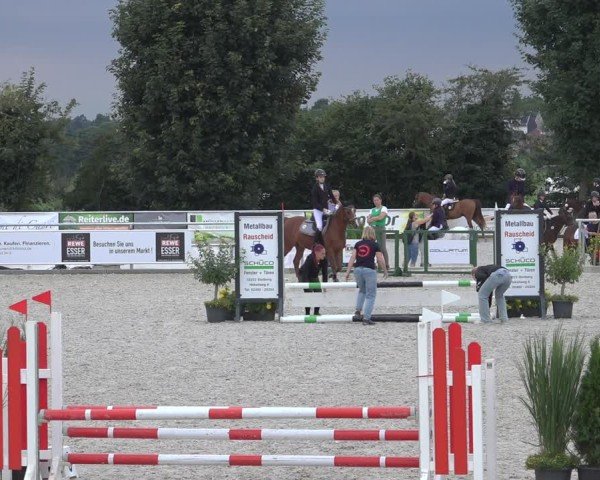 Reitturnier Stolberg-Büsbach 2024