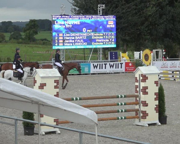 Reitturnier Stolberg-Büsbach 2024