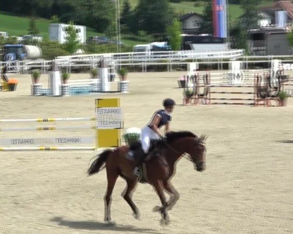 Reitturnier St. Margarethen 2024