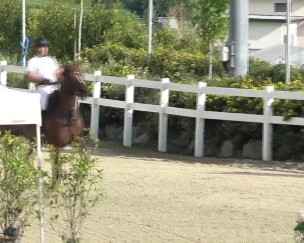 Reitturnier St. Margarethen 2024