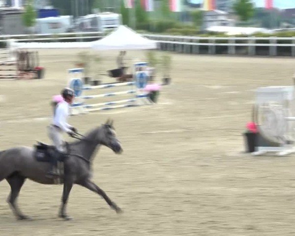 Reitturnier St. Margarethen 2024
