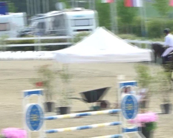Reitturnier St. Margarethen 2024