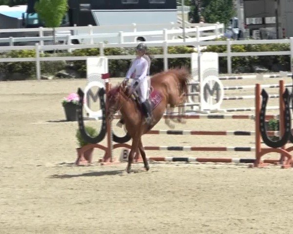 Reitturnier St. Margarethen 2024