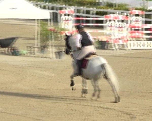 Reitturnier St. Margarethen 2024