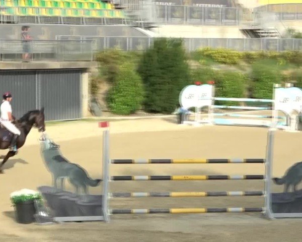 Reitturnier St. Margarethen 2024