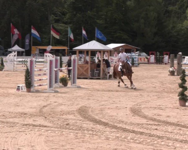 Reitturnier Ranshofen - Braunau am Inn 2024