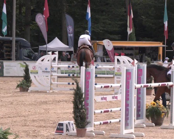 Reitturnier Ranshofen - Braunau am Inn 2024