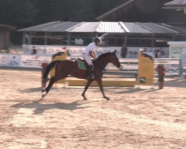 Reitturnier Ranshofen - Braunau am Inn 2024