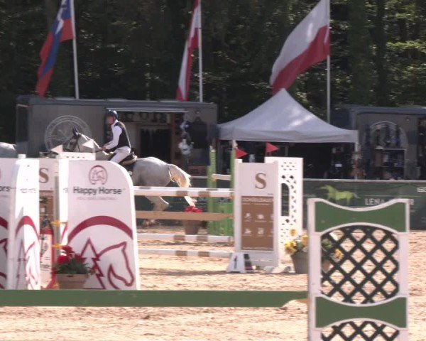 Reitturnier Ranshofen - Braunau am Inn 2024