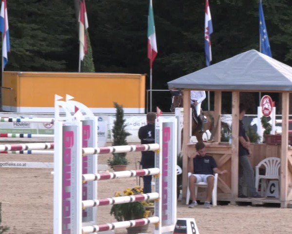 Reitturnier Ranshofen - Braunau am Inn 2024