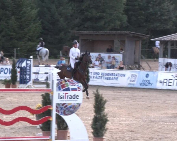 Reitturnier Ranshofen - Braunau am Inn 2024
