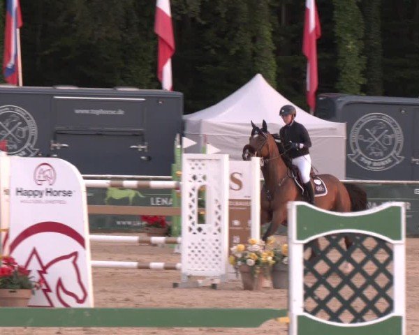 Reitturnier Ranshofen - Braunau am Inn 2024