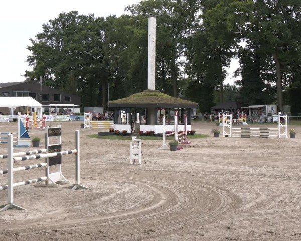 Reitturnier Datteln 2024