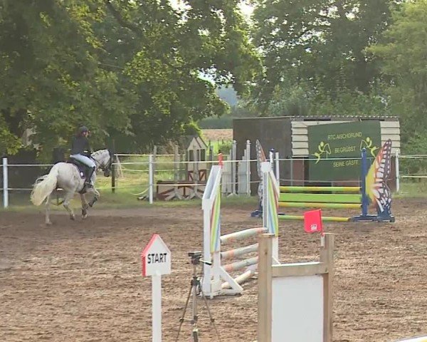 Reitturnier Demantsfürth/Mfr. 2024