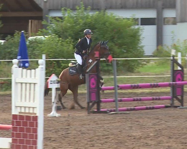 Reitturnier Demantsfürth/Mfr. 2024