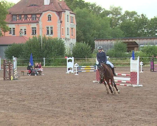 Reitturnier Demantsfürth/Mfr. 2024