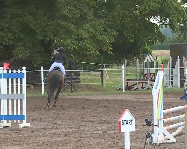 Reitturnier Demantsfürth/Mfr. 2024