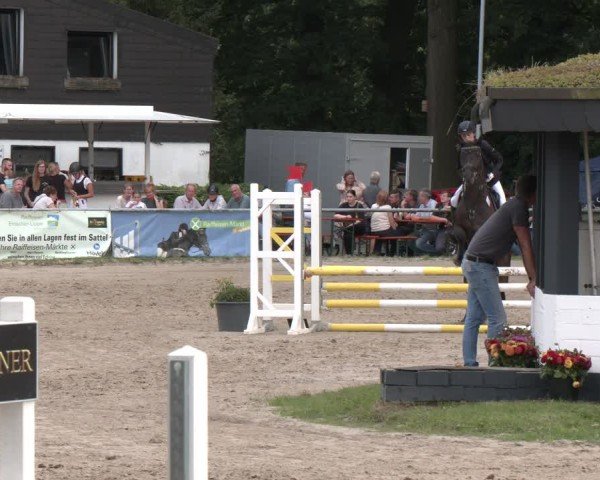 Reitturnier Datteln 2024
