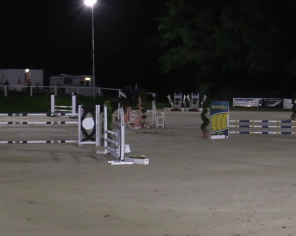 Reitturnier Bergisch Gladbach - Hebborner Hof 2024