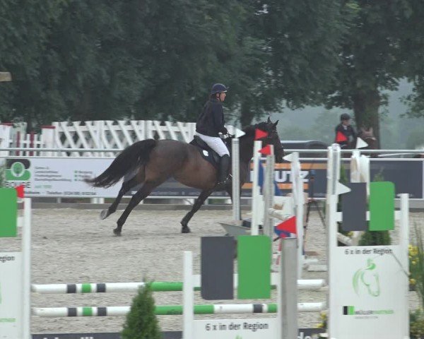 Reitturnier Stolberg-Büsbach 2024