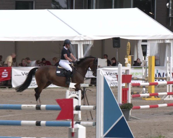 Reitturnier Datteln 2024
