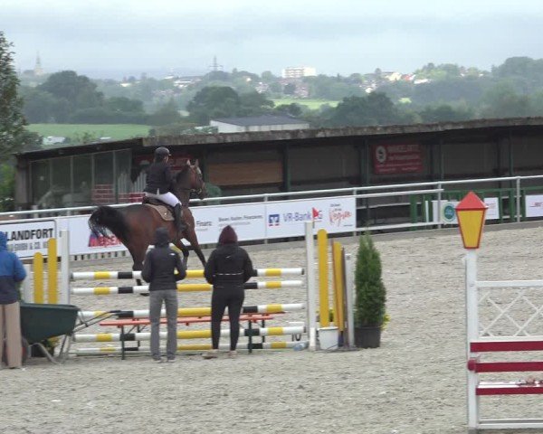 Reitturnier Stolberg-Büsbach 2024