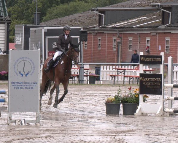 Reitturnier Datteln 2024