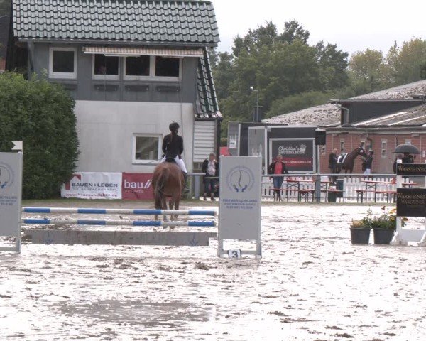 Reitturnier Datteln 2024
